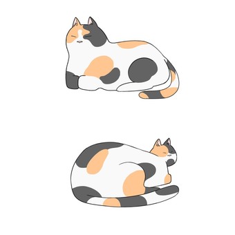 Incense box sitting cat, JPG and PNG Incense box sitting cat, cat, mikko, reclining box sitting, JPG and PNG