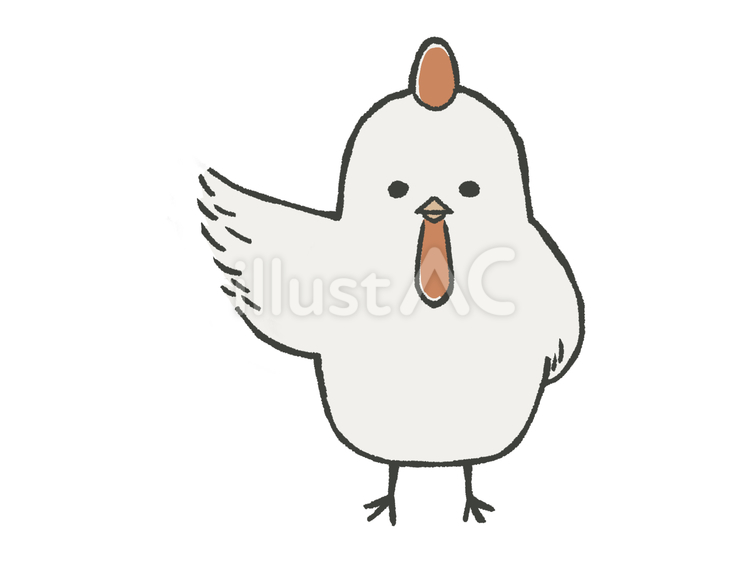 ポイントを教えるにわとり_2 にわとり,ポイント,お知らせのイラスト素材