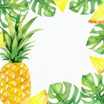 [Watercolor] Pineapple frame, , JPG