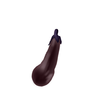 Illustration, eggplant, eggplant, vegetables, JPG