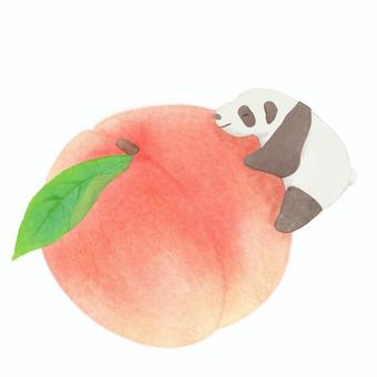 Peach and panda, , JPG and PNG