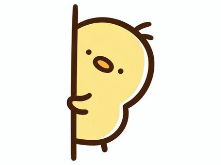 壁からそっと覗くかわいいひよこ 壁からそっと覗くかわいいひよこ ひよこ,壁,覗く,見る,じー,見つめる,観察,照れる,人見知り,表現のイラスト素材