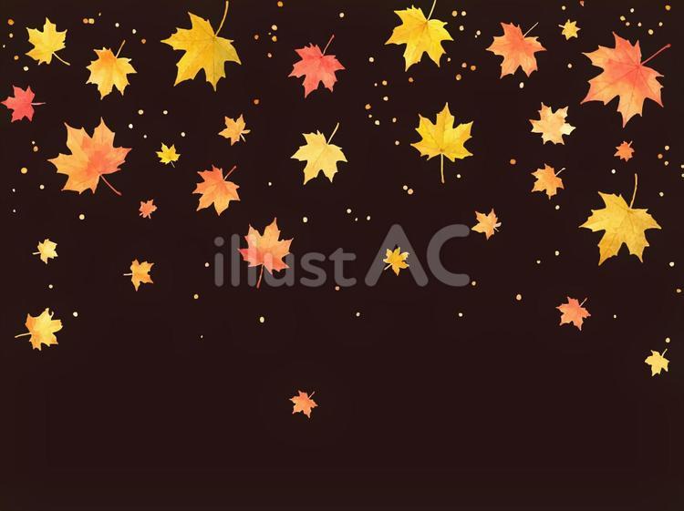 舞い散る秋の水彩風もみじ 黒背景 紅葉,もみじ,秋のイラスト素材