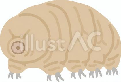 クマムシ