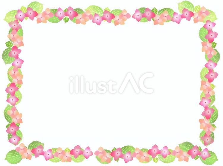 ピンクのあじさいの花びらフレーム1 あじさい,フレーム,紫陽花のイラスト素材