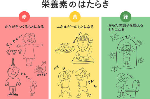 栄養素のはたらき＿線画 三色,食品,栄養素,栄養,はたらき,赤,黄,緑,食育,こどものイラスト素材