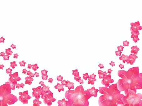 ８月９日の誕生花イラスト 無料イラストなら イラストac
