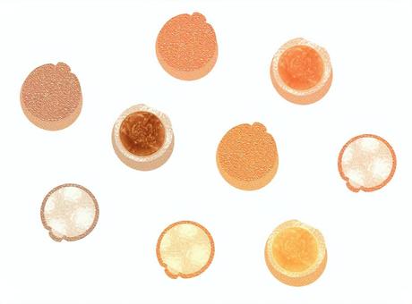 ゼリー ゼリー,容器,蓋,ゼラチン,寒天,プルプル,冷菓,デザート,スイーツ,おやつのイラスト素材