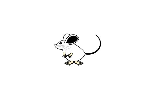 Mouse A, JPG, PNG and AI Mouse A, мышь, мышь, мышь, JPG, PNG and AI