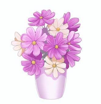 コスモスのフラワーアレンジメント02 コスモス,鉢植え,フラワーアレンジメント,ピンク,白,秋,手描き,秋桜,植物,花のイラスト素材