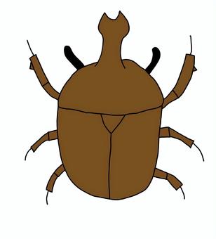 カブトムシ カブトムシ,かぶとむし,虫,昆虫,夏,夏休み,昆虫採集のイラスト素材