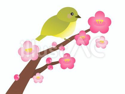 春の梅とウグイス
