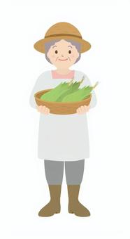 農家の人5 農家,農業,農作業,畑仕事,人物,女性,おばあさん,全身,正面,エプロンのイラスト素材