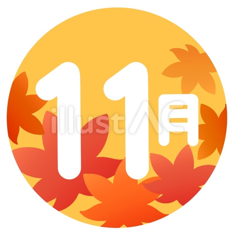 11月・紅葉 11月,紅葉,もみじのイラスト素材