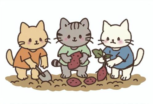 芋掘りを楽しむ三匹のネコ 芋掘り,スコップ,土,さつまいも,秋,食べ物,作業,農業,猫,キャラクターのイラスト素材
