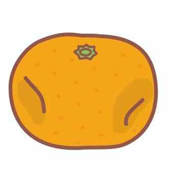 しわしわのみかん しわしわのみかん みかん,しわしわ,古い,皮,一個,丸ごと,果物のイラスト素材