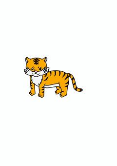 トラ とら,虎,動物,どうぶつ,ネコ科,黄色,生き物,アニマル,タイガー,単品のイラスト素材