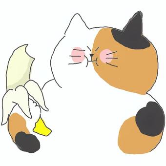 バナナ かわいい,バナナ,果物,フルーツ,食べ物,食べる,食事,おいしい,ねこ,三毛猫のイラスト素材