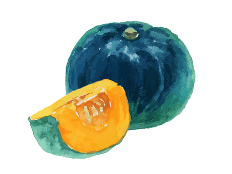 水彩のリアルでシンプルなカボチャ かぼちゃ,カボチャ,野菜,秋,食べ物,水彩,水彩絵の具,手描き,手書き,白背景のイラスト素材