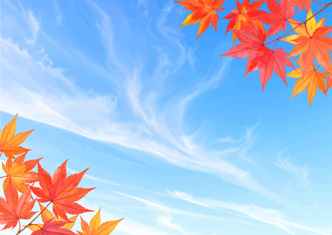 イラスト素材：秋空と紅葉 秋,青空,水彩,背景,紅葉,もみじ,すじ雲,秋空,秋晴れ,コピースペースのイラスト素材