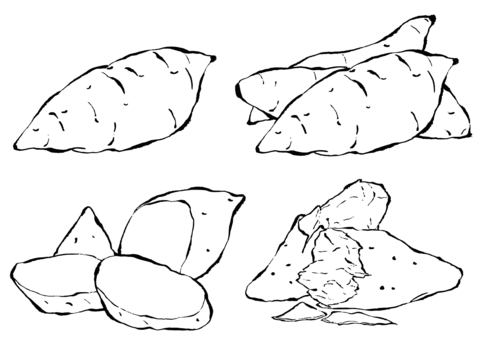 さつまいも4種　墨筆 さつまいも,焼きいも,オレンジ芋,紫芋,薩摩芋,料理,カット,断面,芋,食べ物のイラスト素材