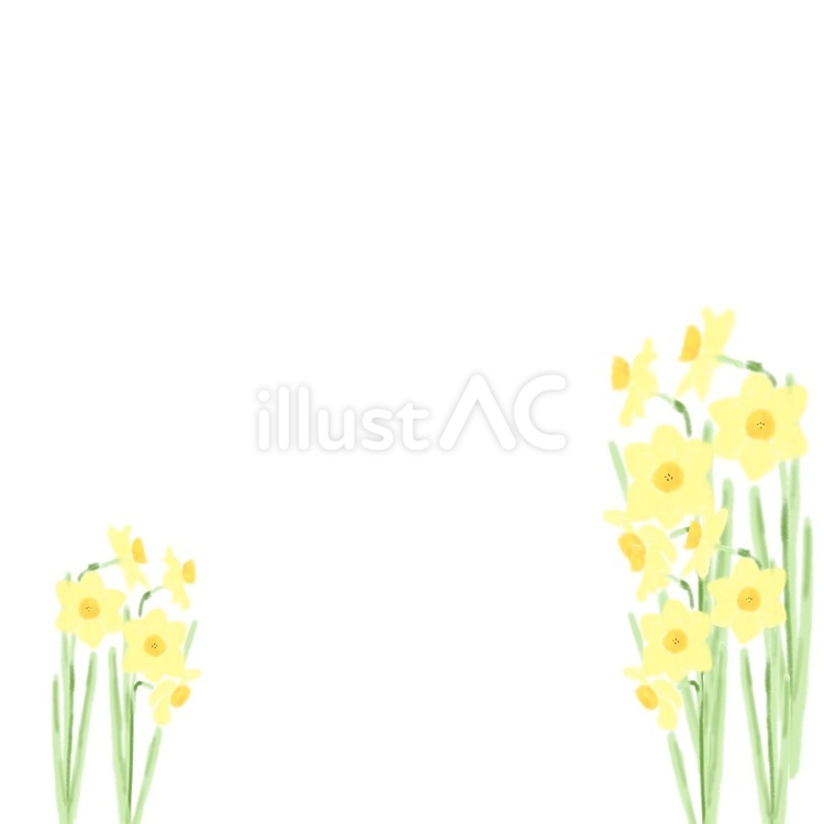 黄水仙‐左右 植物,ほっこり,優しいのイラスト素材
