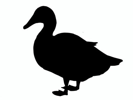 アヒルシルエット あひる,水鳥,生き物,動物,かわいい,水かき,くちばし,しっぽのイラスト素材