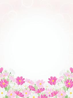 コスモスのフレーム、背景39 コスモス,秋桜,秋,花,水彩,背景,フレーム,手描き,枠,飾り枠のイラスト素材