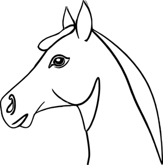 馬のイラスト 馬,うま,ホース,動物,哺乳類,家畜,牧場,サラブレッド,馬の横顔,馬の顔のイラスト素材