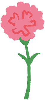 hand drawn illustration of pink carnation, , JPG, PNG and EPS