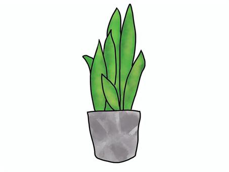 観葉植物　おしゃれ　インテリア 植物,草,インテリア,家具,観葉植物,緑,庭,部屋,木,おしゃれのイラスト素材