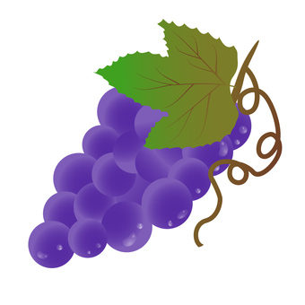 Grape, , JPG, PNG and AI