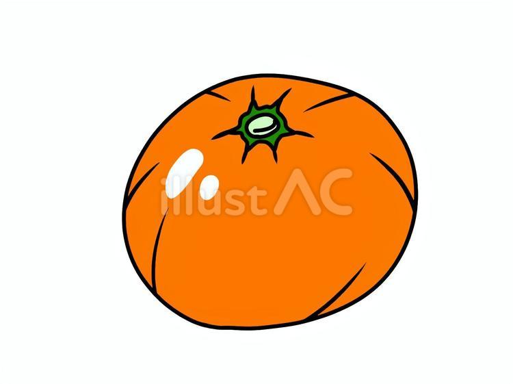 みかん みかん,果物,食べ物のイラスト素材