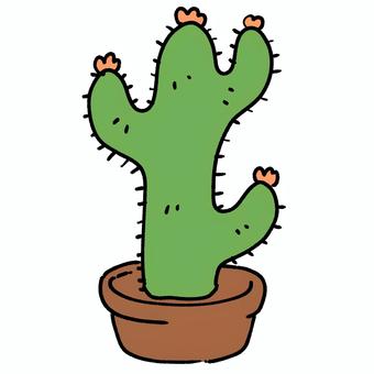 長いサボテン 長い,サボテン,乾燥,砂漠,緑,植木鉢,植物,のっぽのイラスト素材