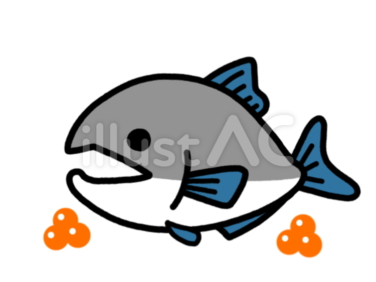 さけいくら　灰 鮭,食べ物,魚のイラスト素材