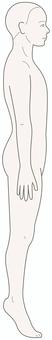 Illustration, schema, front, medical, 