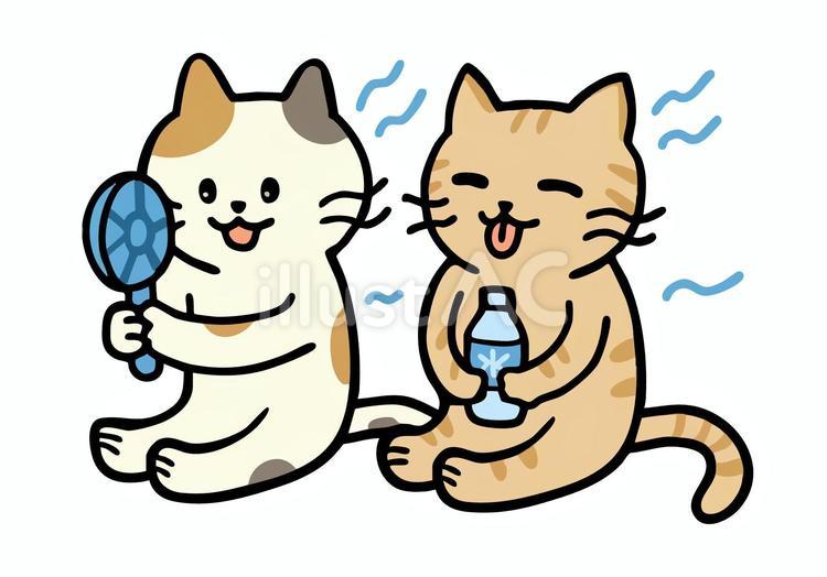 ハンディファンを持つミケネコと水分補給 猫,水,夏のイラスト素材