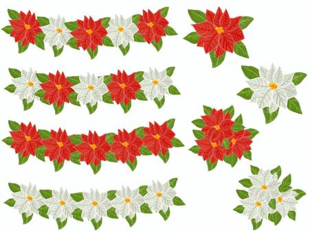 ポインセチア ポインセチア,クリスマス,冬のイラスト素材