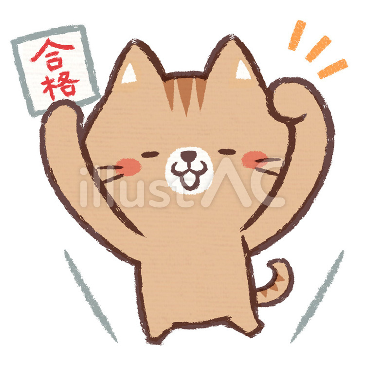 合格ネコ 猫,茶トラ,動物のイラスト素材