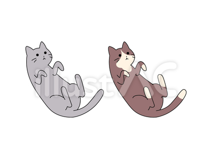 おなかをみせるネコのイラスト