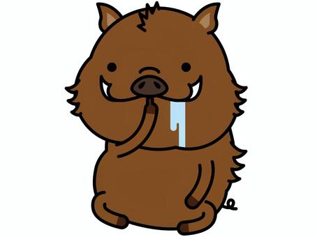 Illustration, boar, saliva, fasting, 