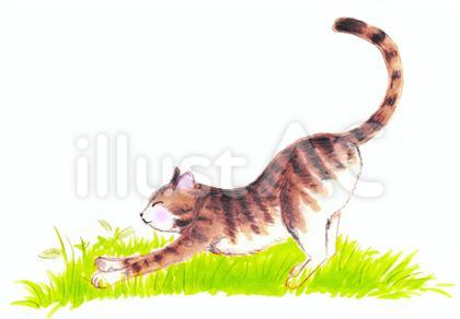 背伸びしている猫