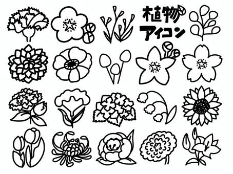手描きの植物の線画イラストセット 線画,手描き,花,植物,セット,挿絵,素材,カーネーション,梅,スターチスのイラスト素材