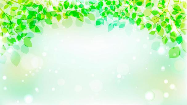 Fresh green image illustration, vert frais, contexte, printemps, JPG and AI