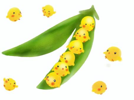 ひよこ豆イラスト 無料イラストなら イラストac