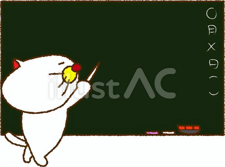 猫のたま子と授業 授業,勉強,先生のイラスト素材