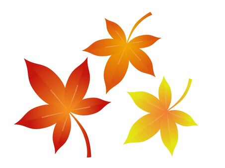 紅葉の葉セット 紅葉,セット,秋,葉,もみじ,葉っぱ,植物,自然,落ち葉,日本のイラスト素材
