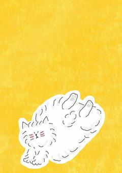 走るふわふわねこちゃん 走るふわふわねこちゃん かわいい,ねこ,どうぶつ,いきもの,ペット,ふわふわ,もこもこ,白,白い,走るのイラスト素材