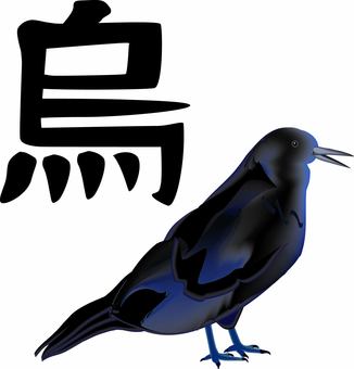 カラス　 鳥,鳥類,黒,鳴く,立体,リアル,口,開く,漢字のイラスト素材