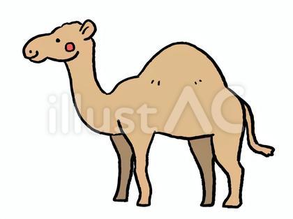 ラクダのイラスト